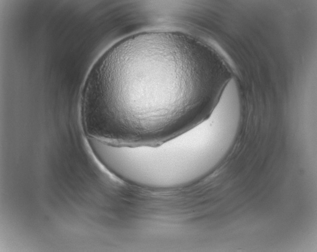 X0000070231484200606091704