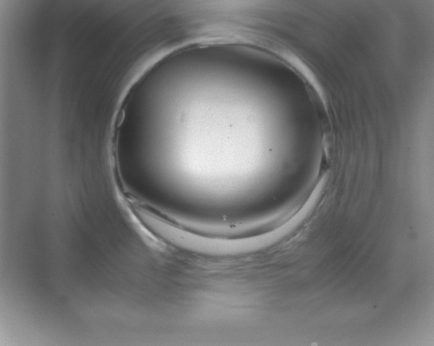 X0000070231485200606091704