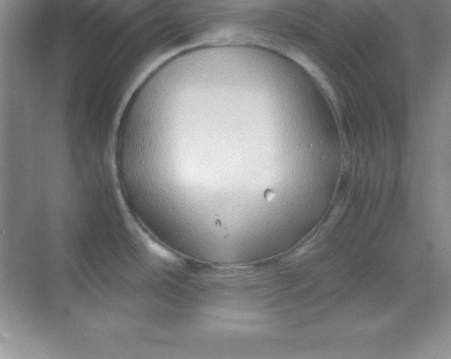 X0000070231486200606091704