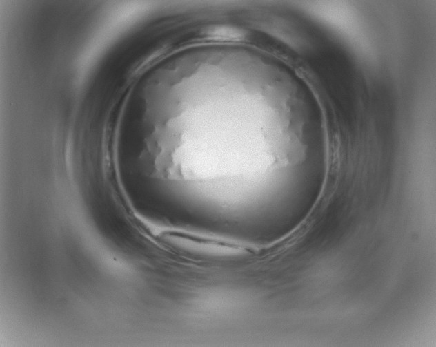 X0000070231487200606091704