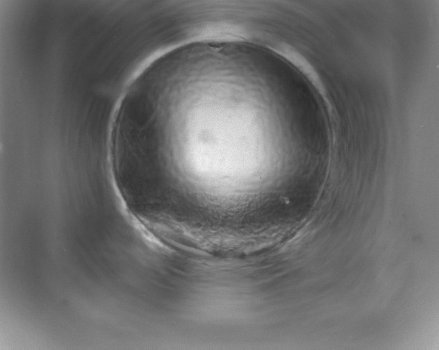 X0000070231488200606091704