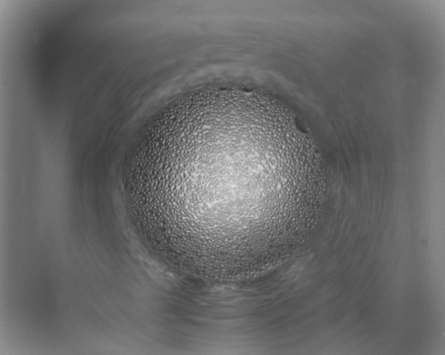 X0000070231489200606091703