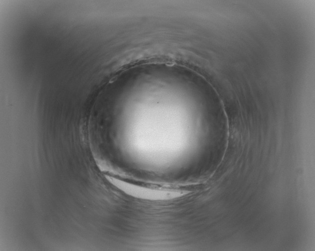 X0000070231490200606091703