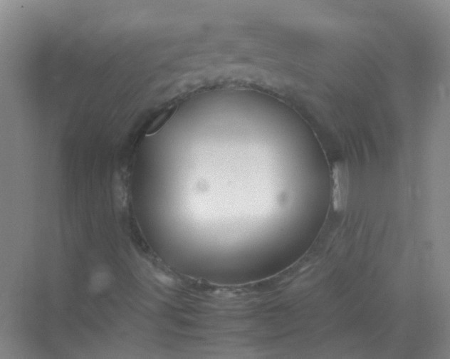 X0000070231491200606091703