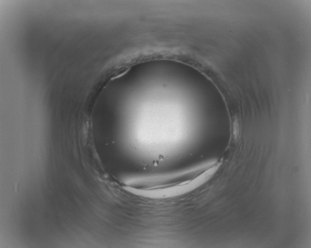 X0000070231492200606091703