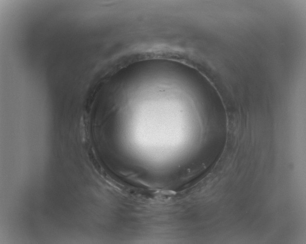 X0000070231493200606091703