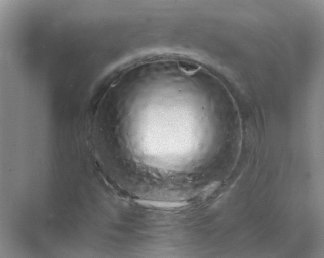 X0000070231494200606091703