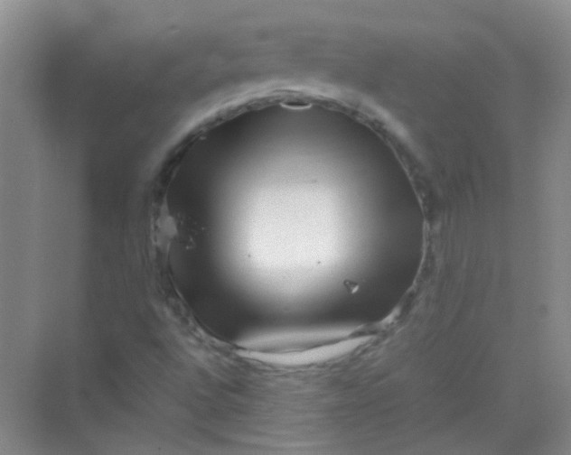 X0000070231496200606091703