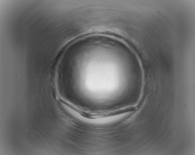 X0000070231497200606091703