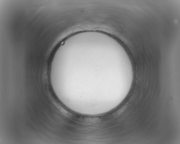 X0000070231498200606091703