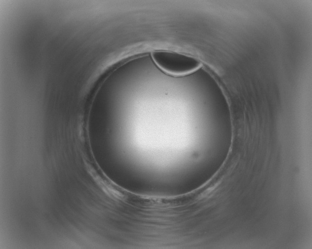 X0000070231499200606091703