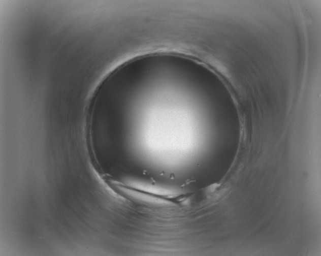 X0000070231500200606091703