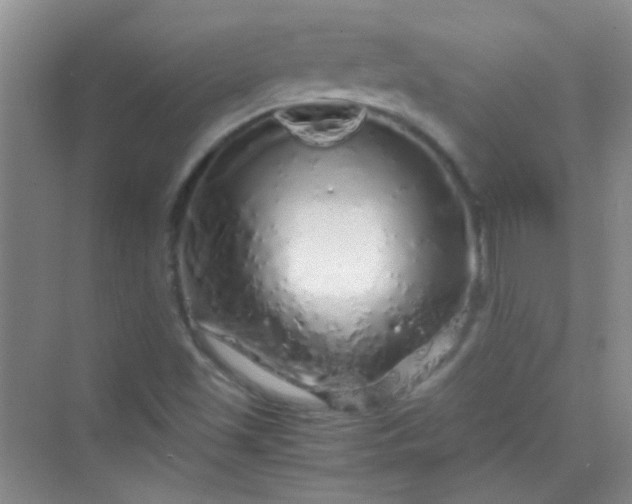 X0000070231501200606091703