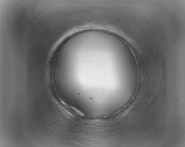 X0000070231502200606091703