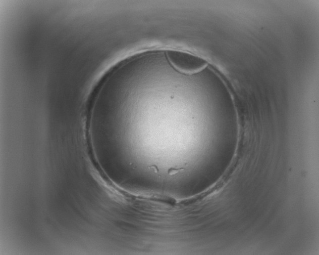 X0000070231503200606091703