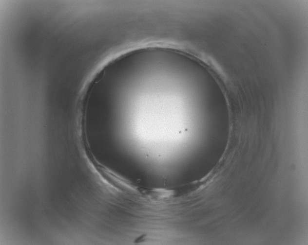 X0000070231504200606091703