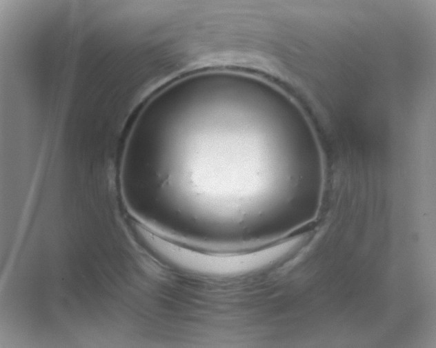 X0000070231505200606091703