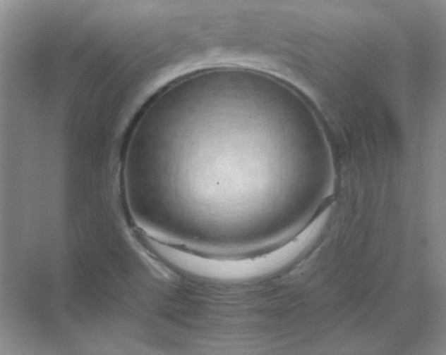 X0000070231507200606091703