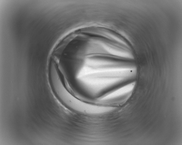 X0000070231508200606091703