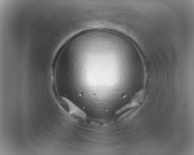 X0000070231509200606091703