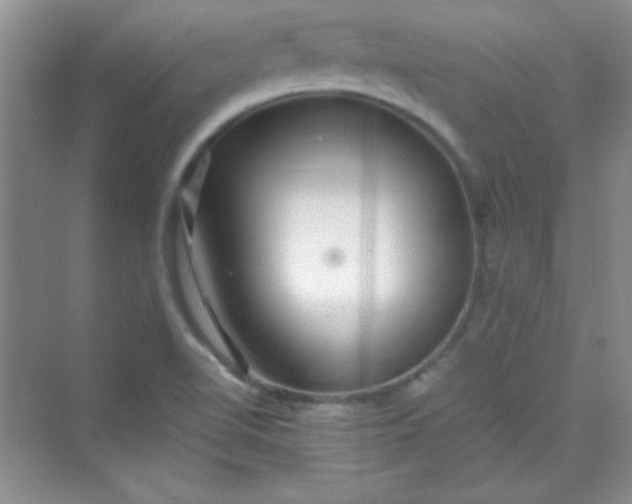 X0000070231510200606091703