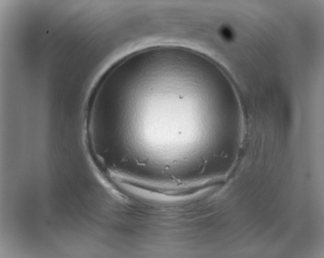 X0000070231511200606091703