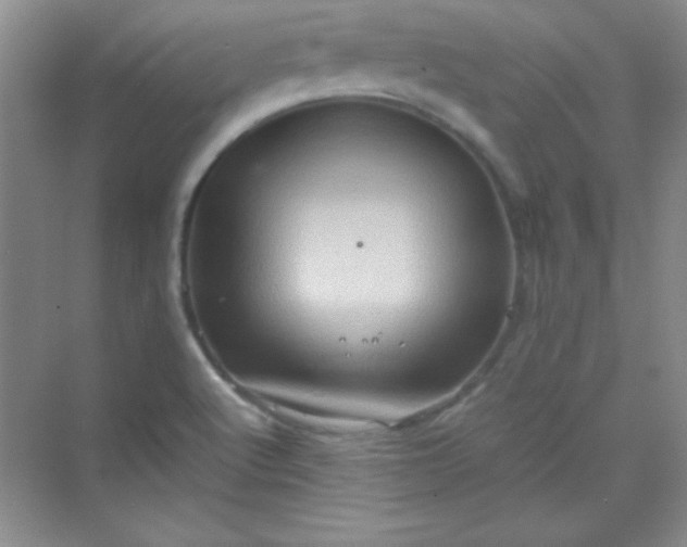 X0000070231512200606091703