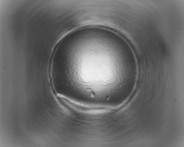 X0000070231513200606091703