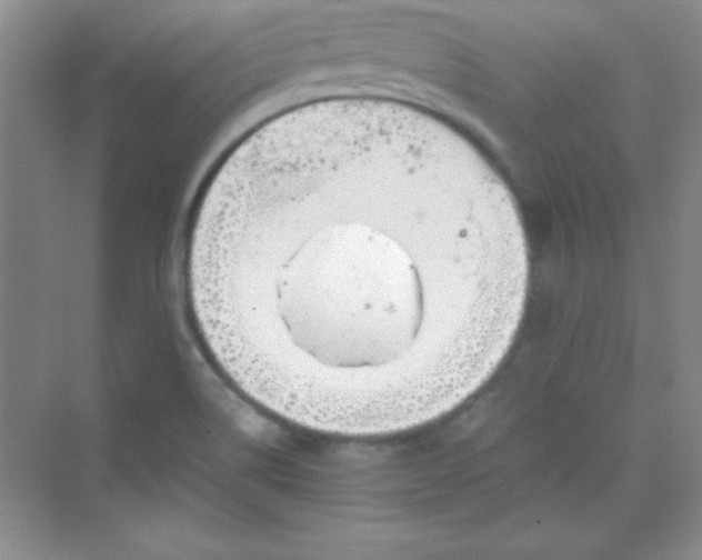 X0000070231514200606091703