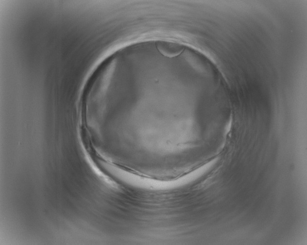 X0000070231515200606091703