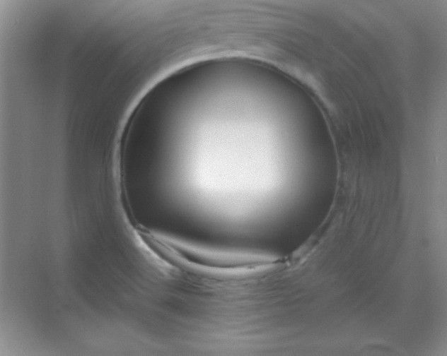 X0000070231516200606091703