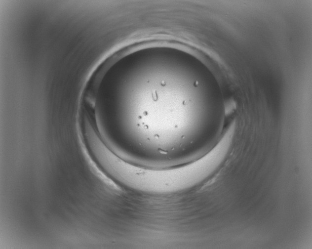 X0000070231518200606091703