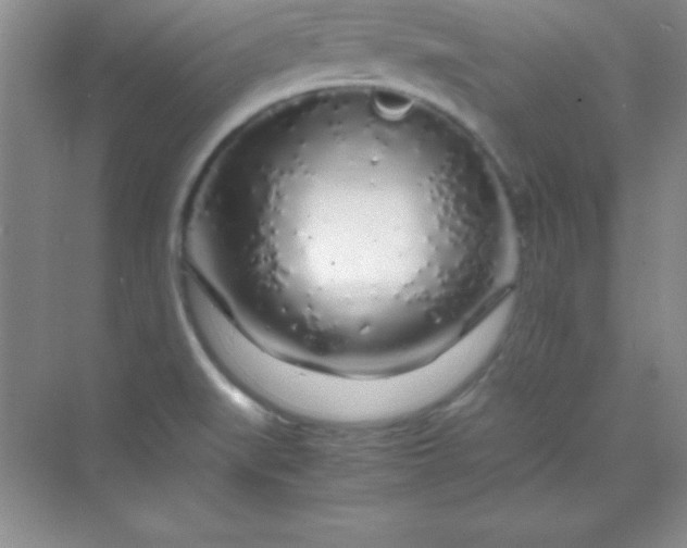 X0000070231519200606091704