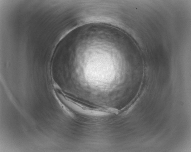 X0000070231521200606091704