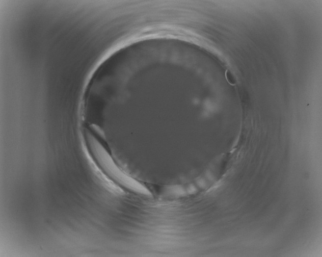 X0000070231522200606091704