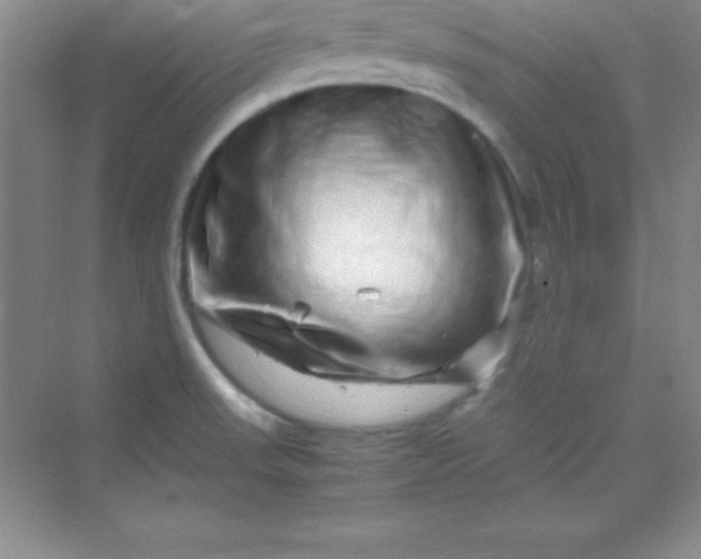 X0000070231523200606091704