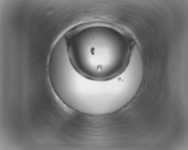 X0000070231524200606091704