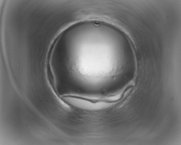 X0000070231525200606091704