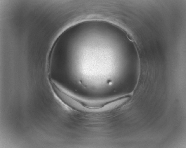 X0000070231527200606091704