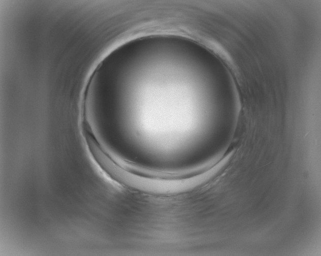 X0000070231528200606091704