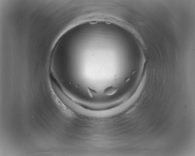 X0000070231530200606091704