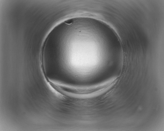 X0000070231531200606091704