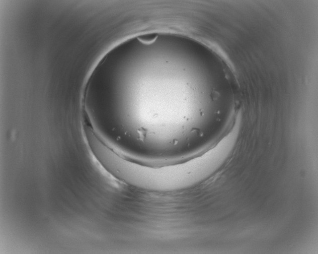 X0000070231532200606091704