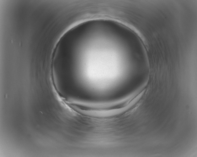 X0000070231534200606091704