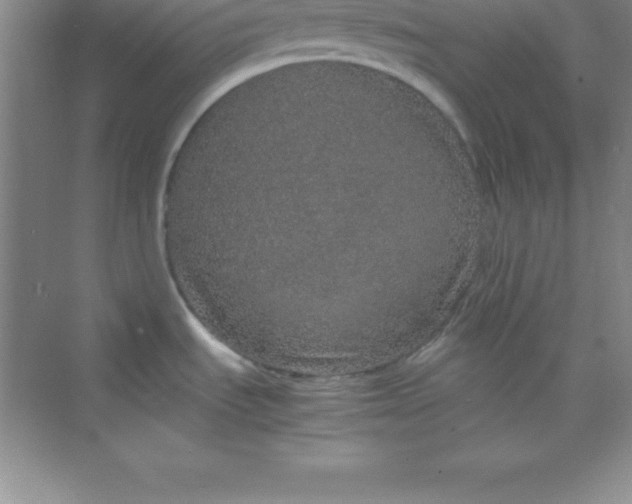 X0000070231535200606091704