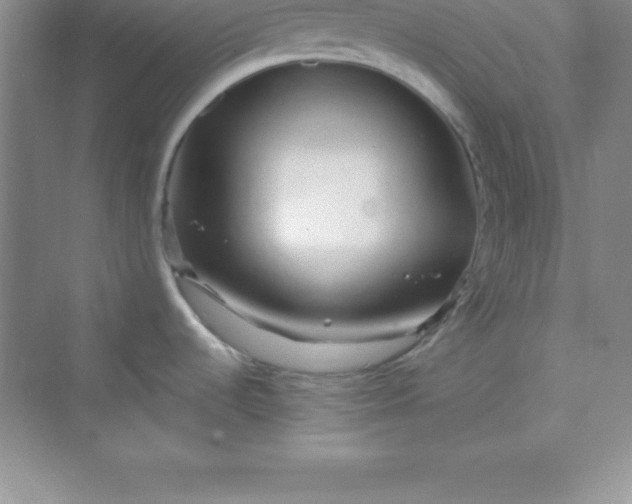 X0000070231536200606091704