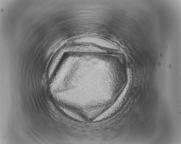 X0000070230002200606161744