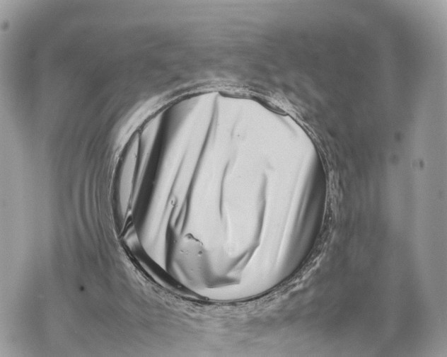 X0000070230007200606161744