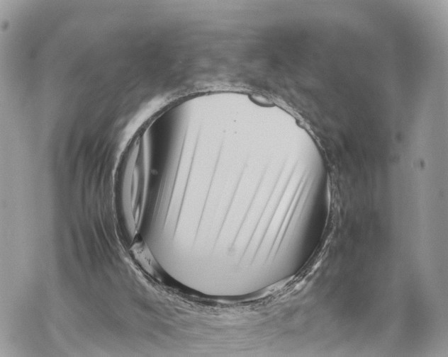 X0000070230008200606161744