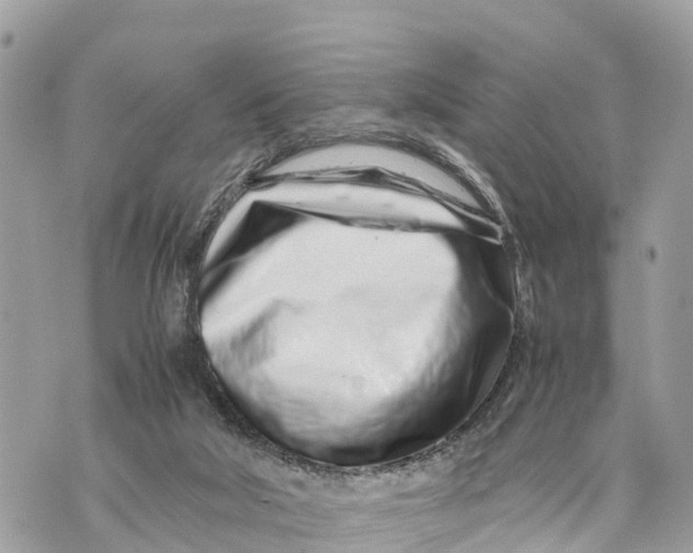 X0000070230018200606161744